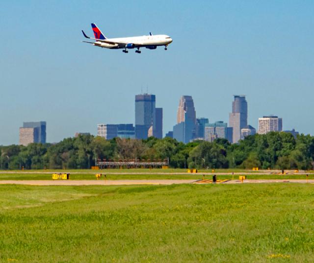 Are Dogs Allowed In Msp Airport